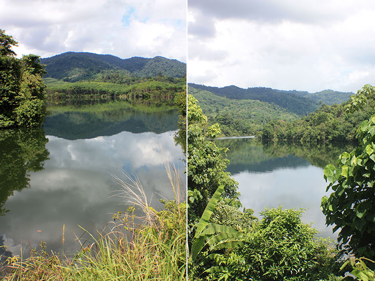 Thailand, Phattalung, Sal Forest Reservoir