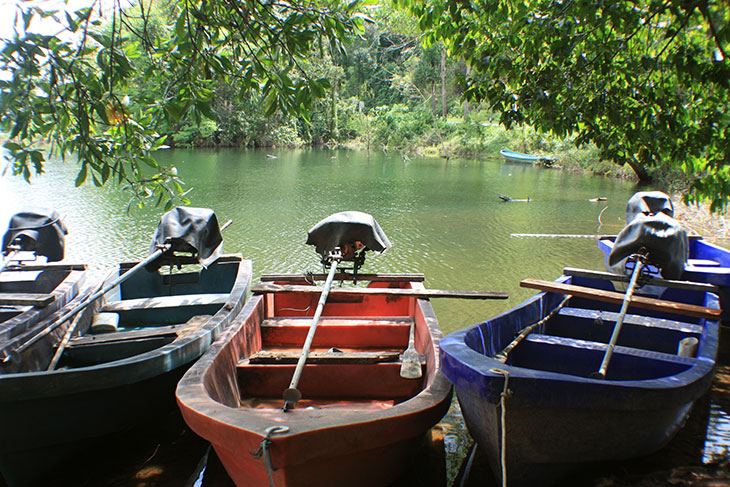 Thailand, Phattalung, Sal Forest Reservoir