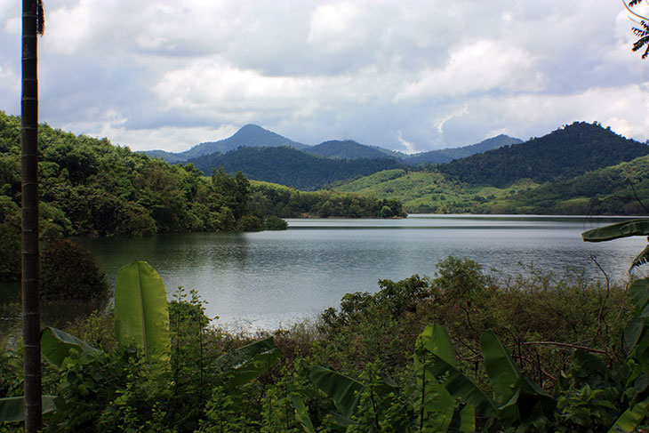 Thailand, Phattalung, Sal Forest Reservoir