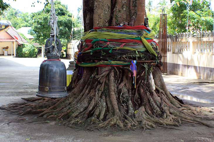 Thailand, Krabi, Wat Sai Thai