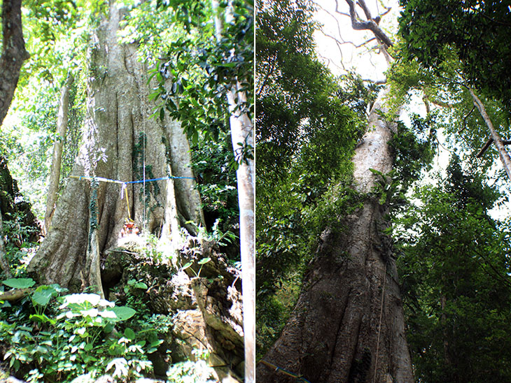 Thailand, Krabi, Wat Sai Thai