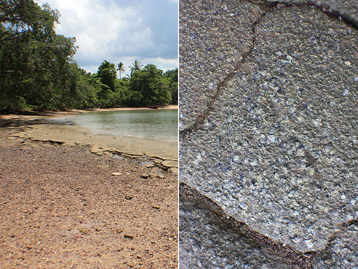 Thailand, Krabi, Fossil Shell Beach