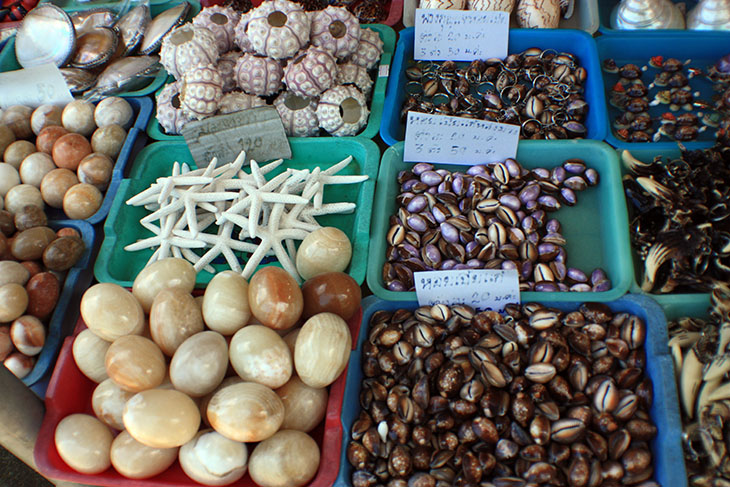 Thailand, Krabi, Fossil Shell Beach