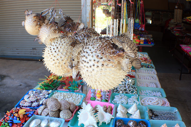 Thailand, Krabi, Fossil Shell Beach