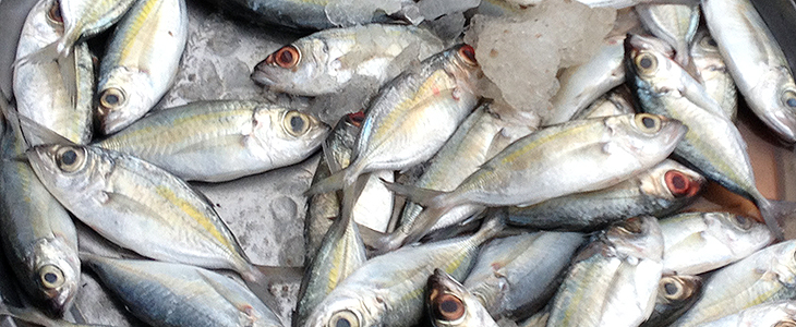 thailand, khanom, market