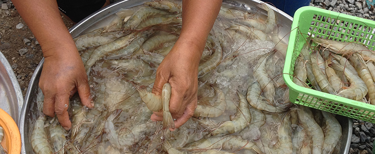 thailand, khanom, market