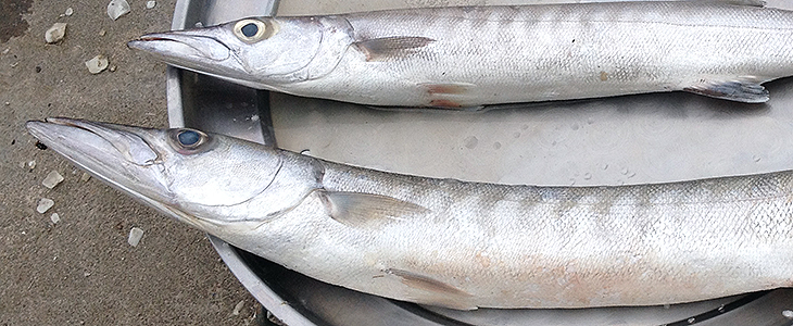 thailand, khanom, market