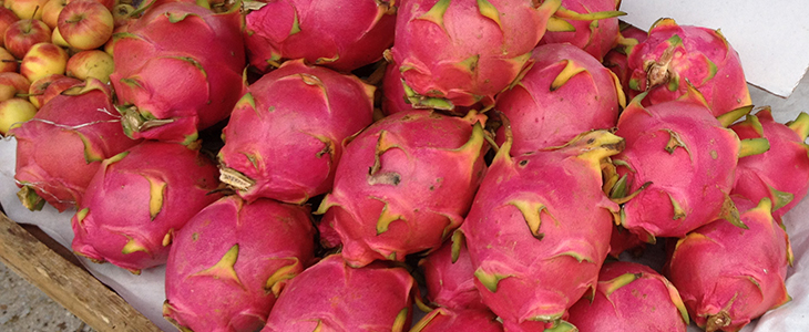 thailand, khanom, market