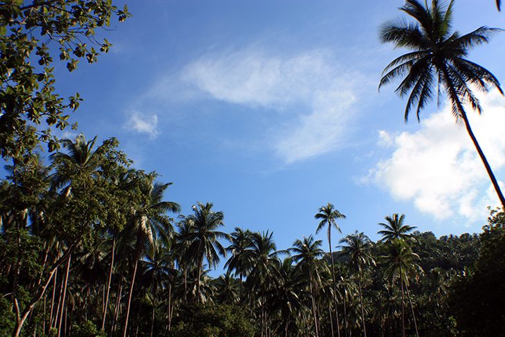 thailand, khanom, hin lat waterfall