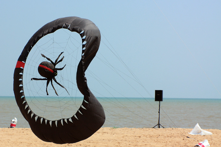 thailand, surat thani, kite festival