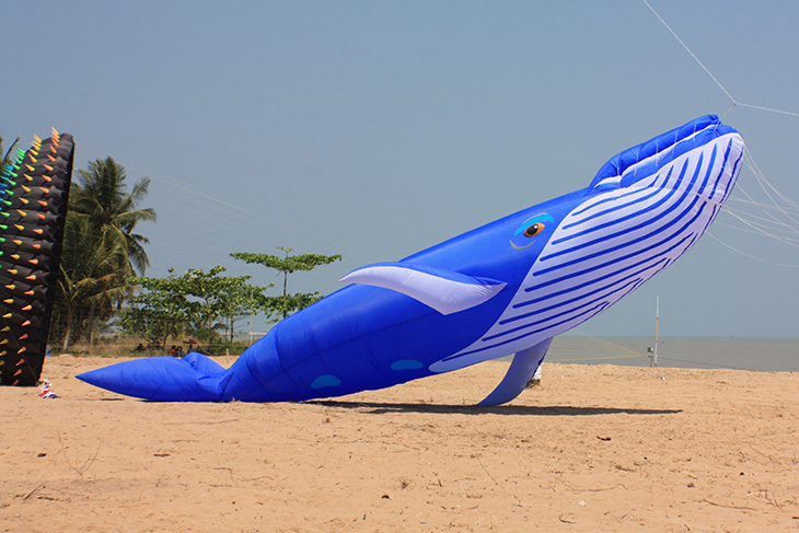 thailand, surat thani, kite festival