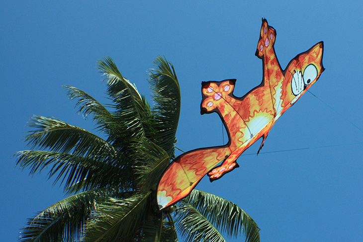 thailand, surat thani, kite festival