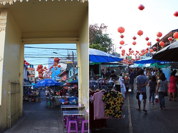 travel, thailand, surat thani