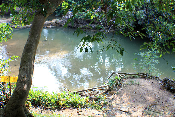 wipawadee waterfall, surat thani, thailand, travel