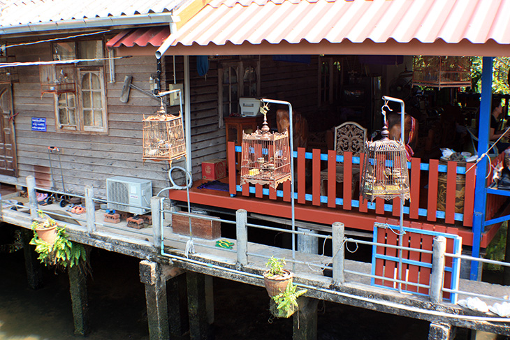 thailand, surat thani, floating market