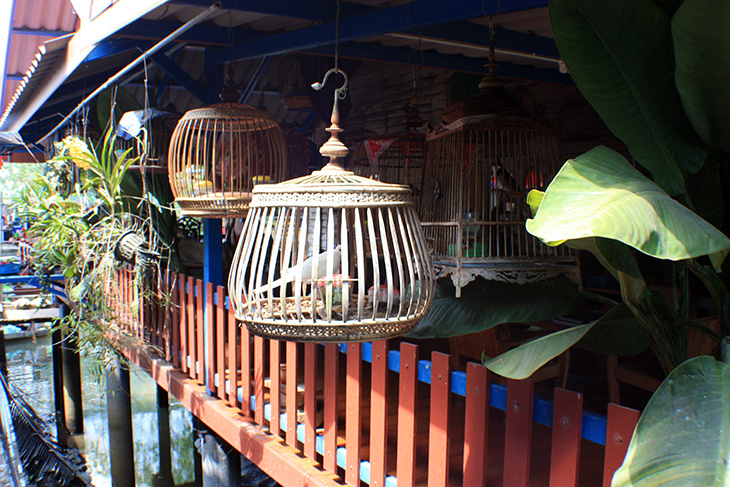 thailand, surat thani, floating market