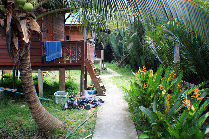 thailand, surat thani, floating market