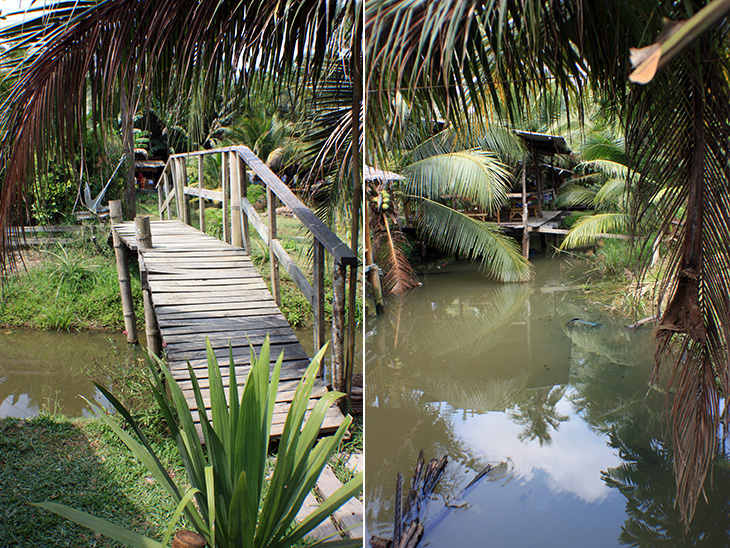 thailand, surat thani, floating market