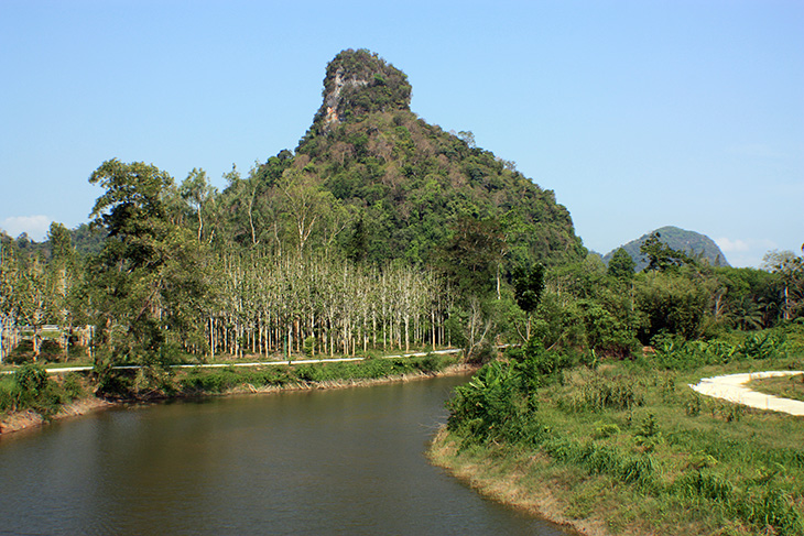 pak phraek park, surat thani, thailand