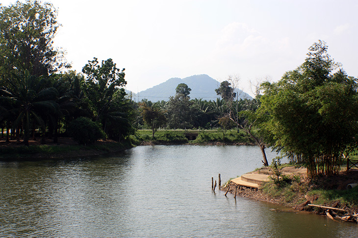 pak phraek park, surat thani, thailand