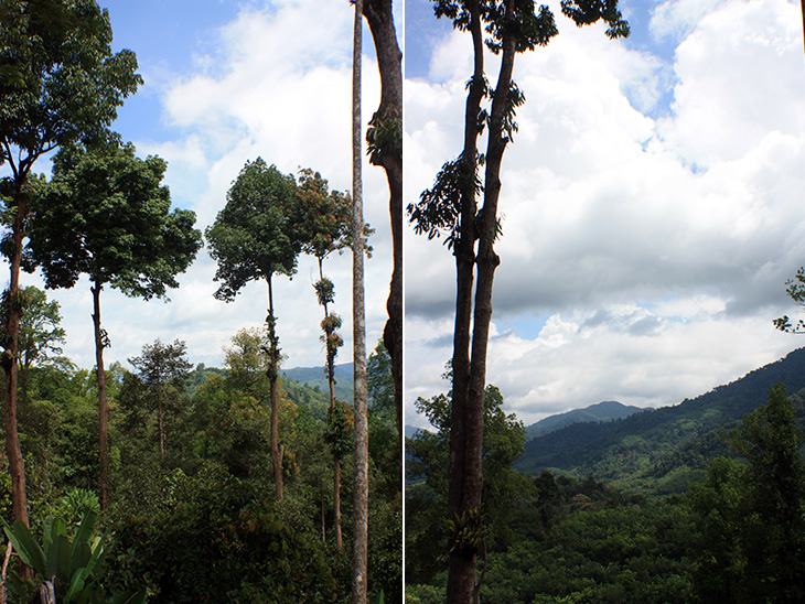 thailand, nopphitam, wats