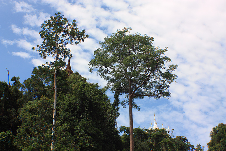 thailand, surat thani, thamma park