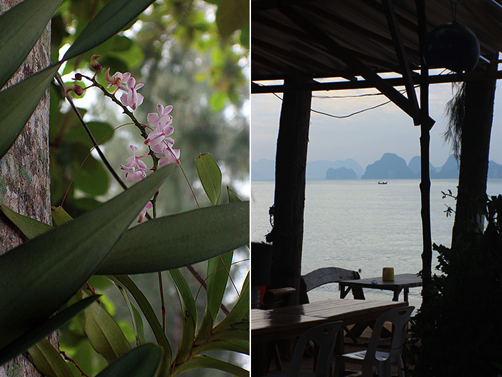 ciao bella, ko yao noi, thailand