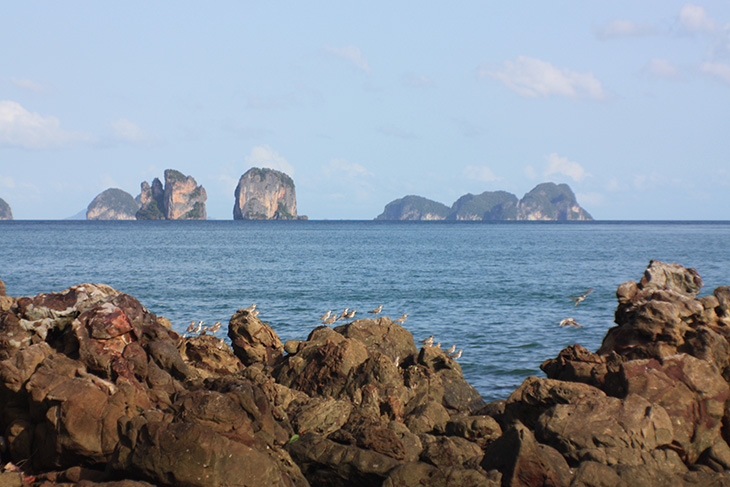 thailand, phang nga, ko yao noi, little long beach