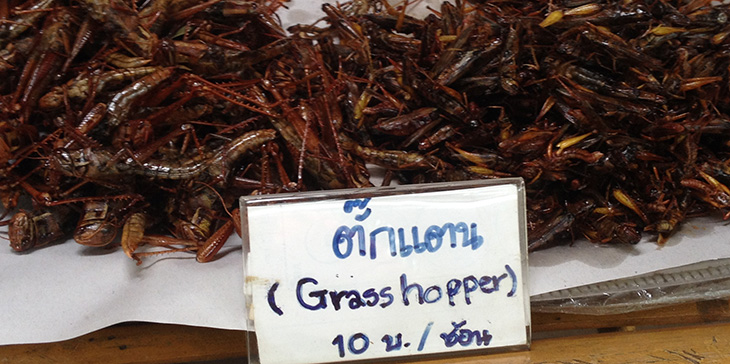 thailand, thai food, surat thani floating market