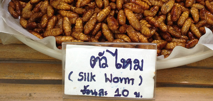 thailand, thai food, surat thani floating market