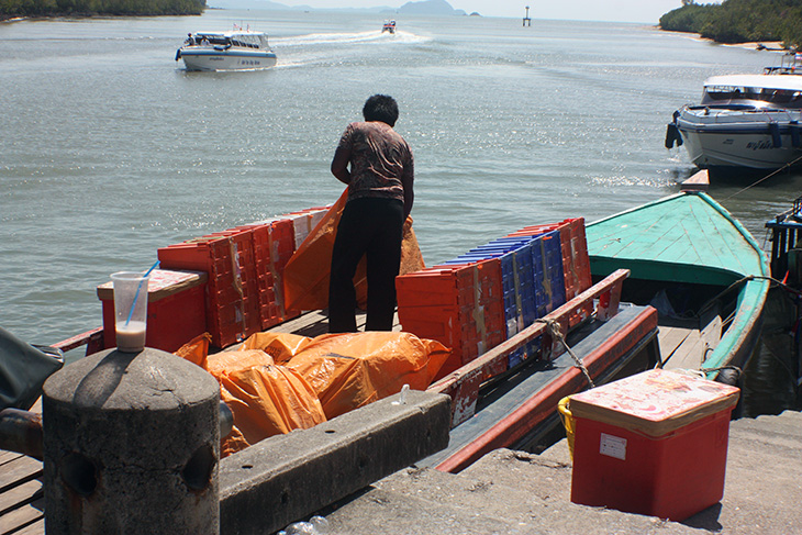 thailand, phang nga, ko yao noi, mail delivery