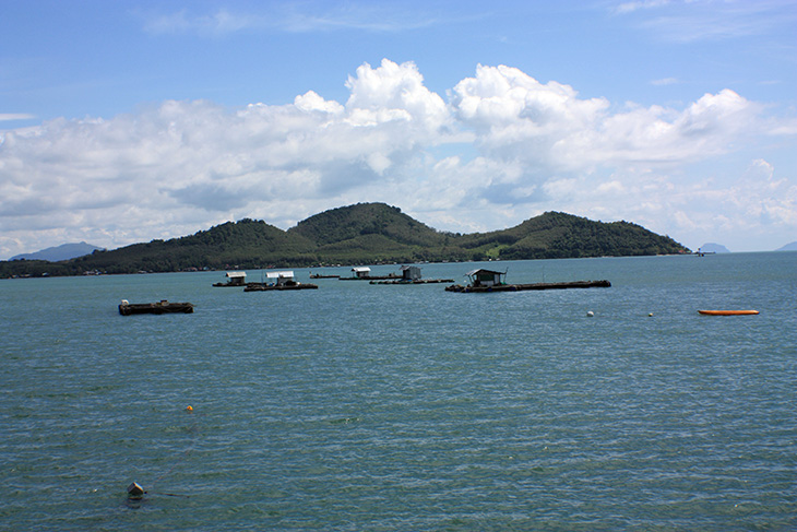 thailand, ko yao noi, phuket, speedboat