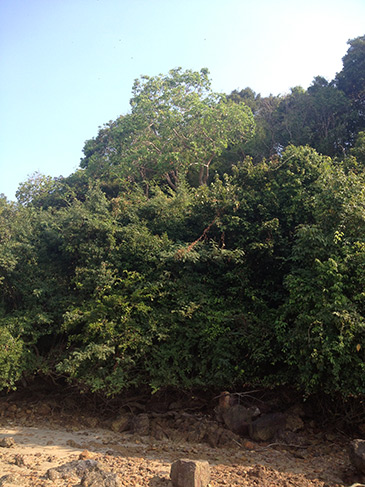 thailand, ko yao noi, pasai beach