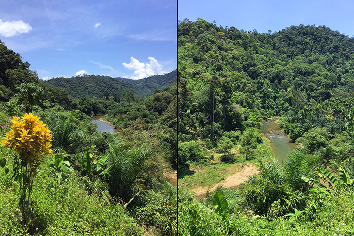 travel, thailand, ranong