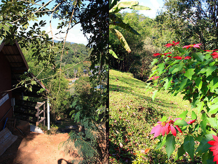 Pang Tong Palace Bamboo Complex