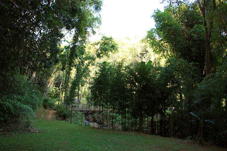 Pang Tong Palace Bamboo Complex