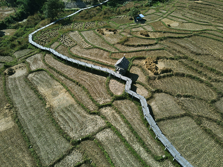 Buddha Bamboo Bridge Pai