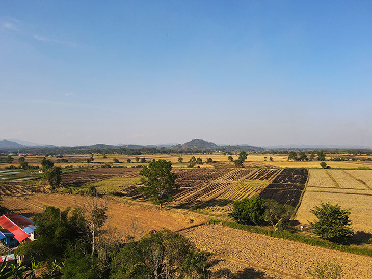 Doobua Lotus Garden Chiang Rai