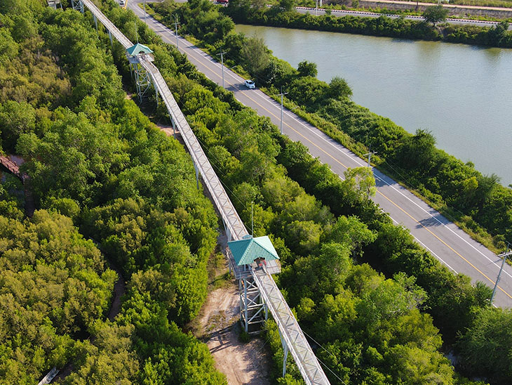 travel, thailand, pattani skywalk