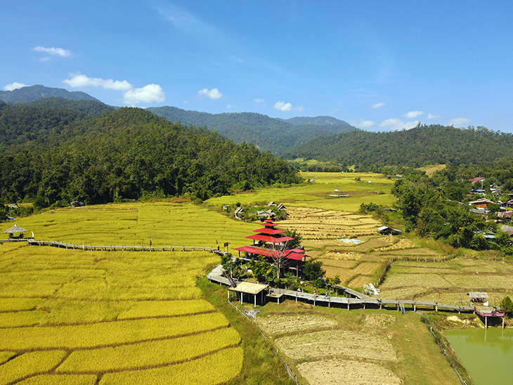 travel, thailand, pai, bamboo, bridge