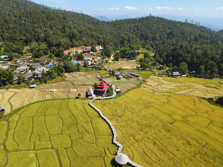 travel, thailand, pai, bamboo, bridge