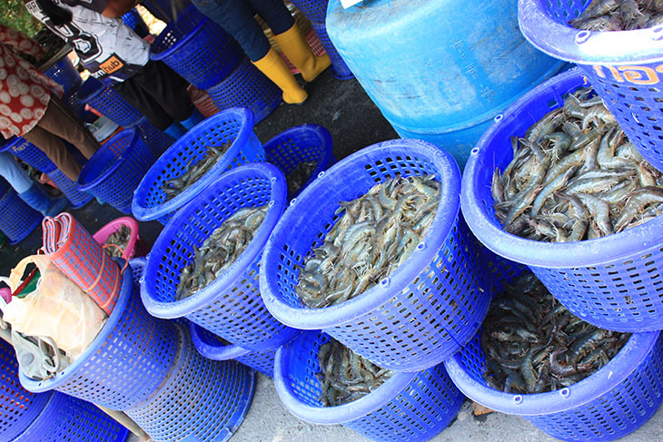 prachuap province, thailand