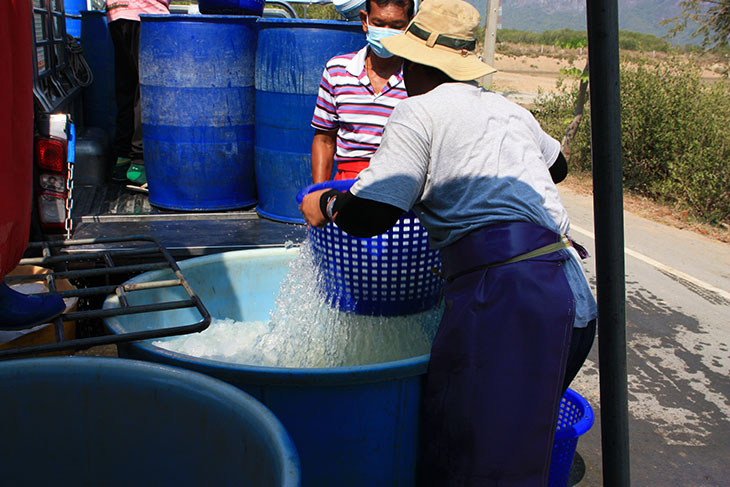 prachuap province, thailand