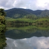 9211_thailand_phattalung_sal_forest_reservoir_6259
